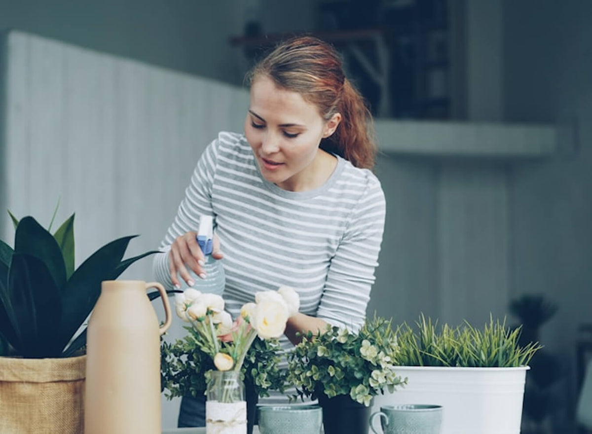Our Top 10 Plant Care Tips