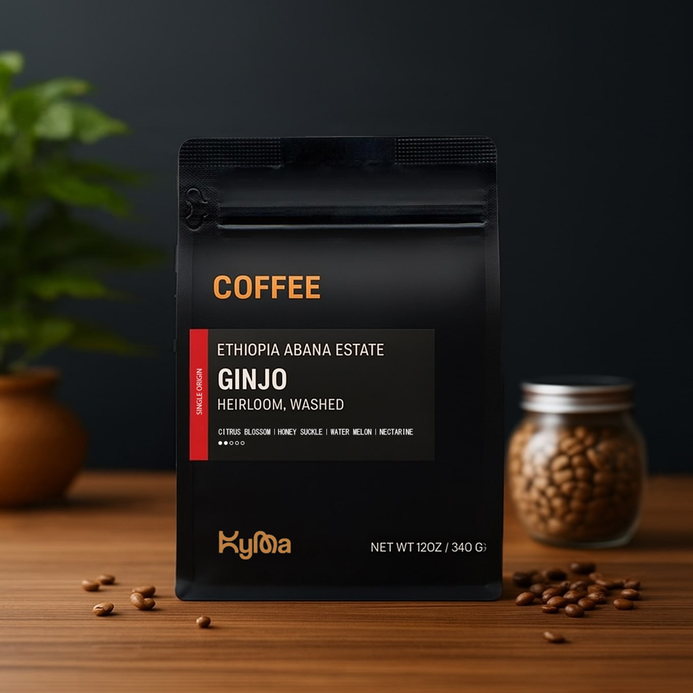 Ginzo Reserve Ethiopia Coffee